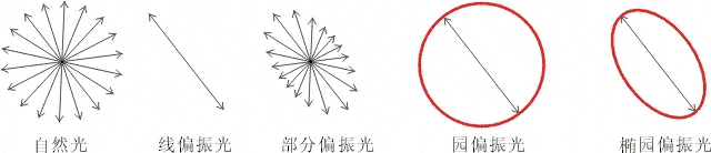 什么是偏振光？偏振光是如何完成檢測的？