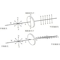 光的魔術(shù)師：偏光鏡如何塑造人類的光學(xué)世界